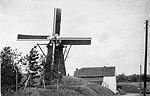 Foto uit de dertiger jaren van de Oirsbeekse windmolen.